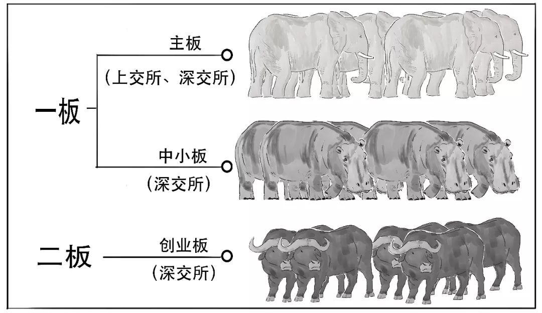 创业板注册制是什么时间开始的,创业板注册制是怎么规定的