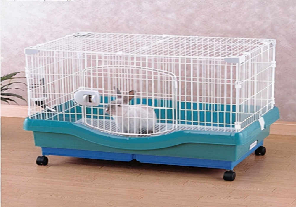 热天养兔要预防哪些疾病,养兔技巧及病兔药物预防