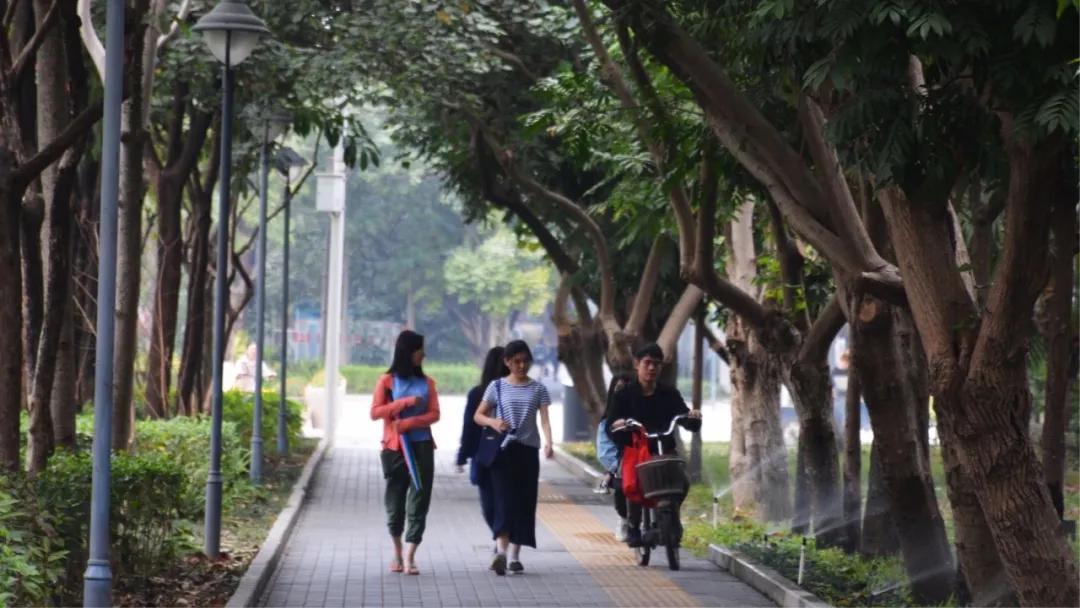 大运绿道跑步路线,大运公园绿道