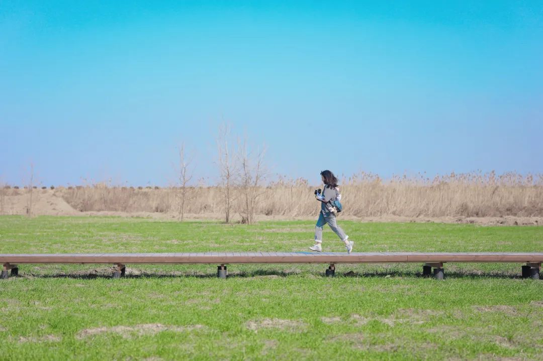 铁黄沙免费开放日,铁黄沙免费门票