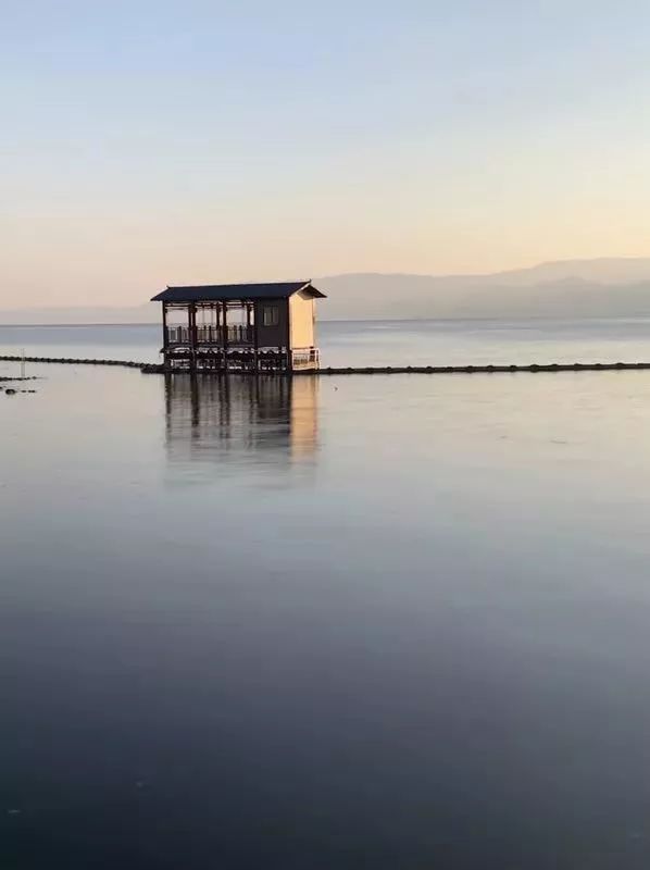 iphone手机拍照操作指南,iphone实况拍照有什么用