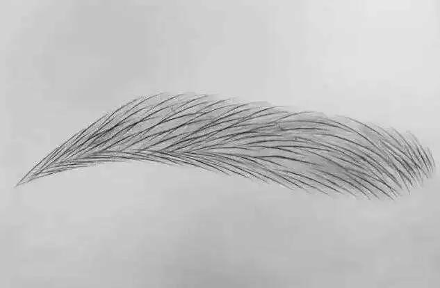 画眉采用什么眉毛好,不同类型的眉毛适合哪些画眉方法