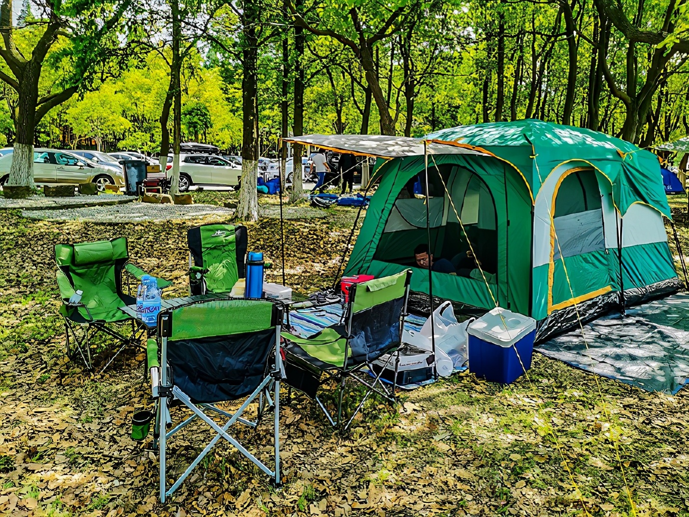 淀山湖柳堤春晓,淀山湖适合露营玩水的地方