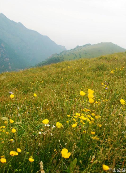 平山驼梁景区最新攻略,平山县驼梁攻略