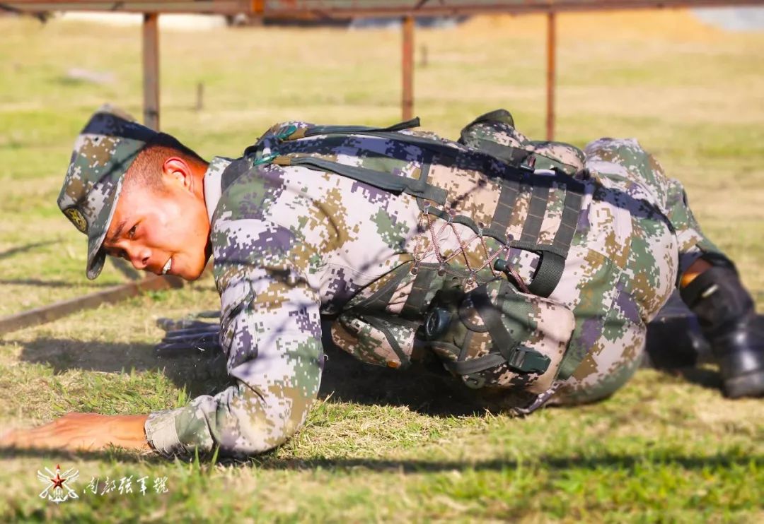 高级士官留队申请,留队申请书10000