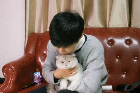 肖战背后的真实感受,肖战背后的辛酸谁人知