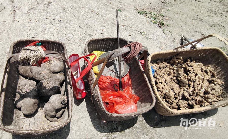 新坊路口村赶集,宜春新坊什么时候赶集