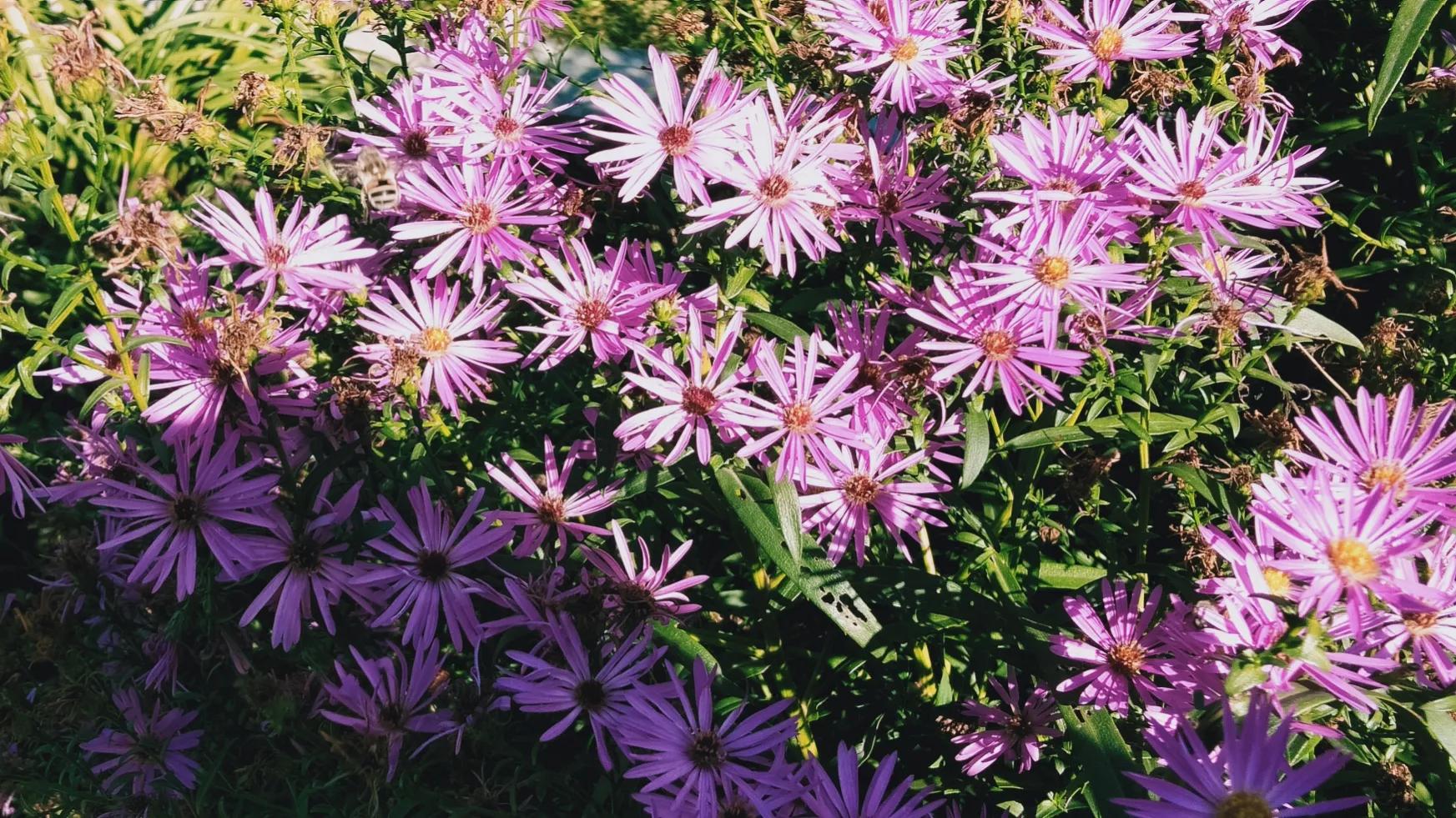 天坛公园内的科普园位置,天坛公园和国家自然博物馆