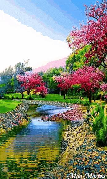 大自然山水花鸟大全,回归自然山水花鸟