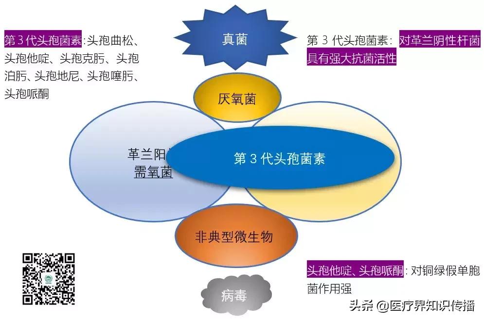 抗菌药谱大全及图片,抗菌谱图解大全