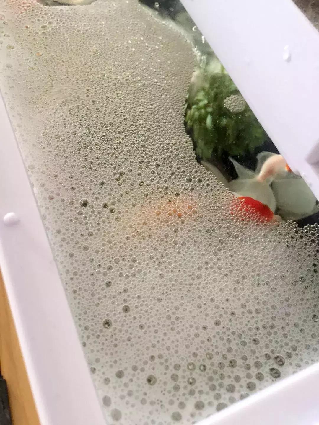 有什么办法可以快速除掉鱼缸气泡,亚克力鱼缸表面的污渍怎么去除