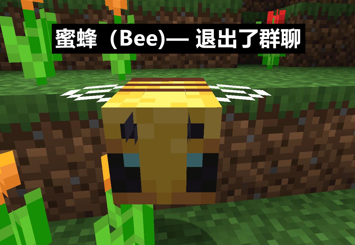 我的世界mc另类词,我的世界mc英文名称