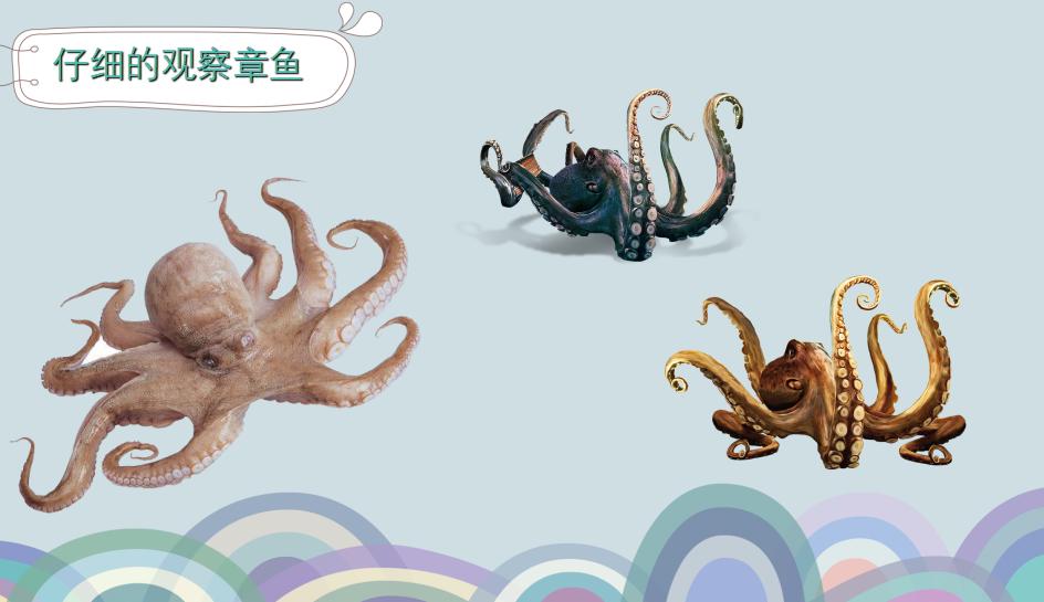 儿童学画画小白兔简单,儿童学画画入门