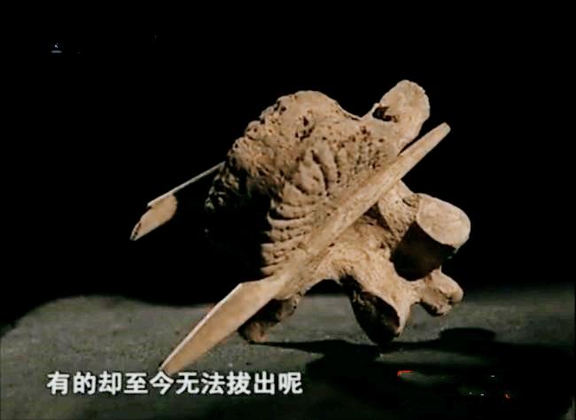 7300年前谜案：姑娘身上18把骨器，会阴处1支骨钉，全身35处伤