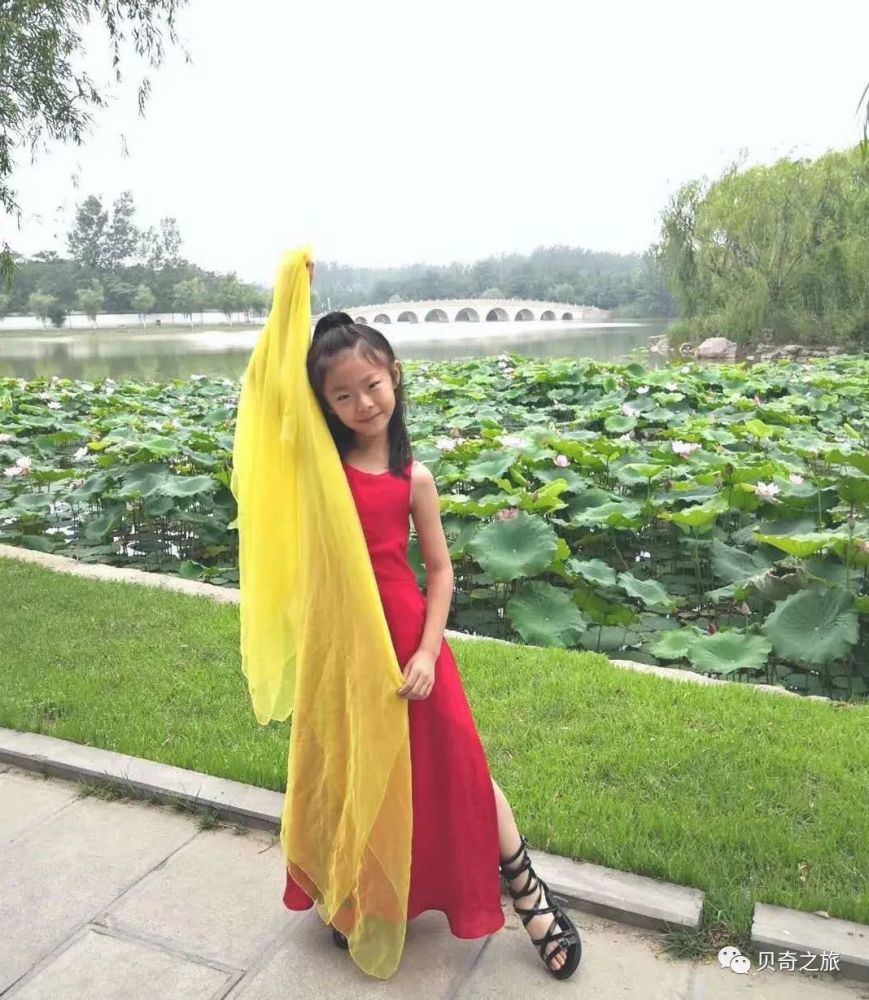 郑州赏荷花攻略,中国赏荷必去的地方