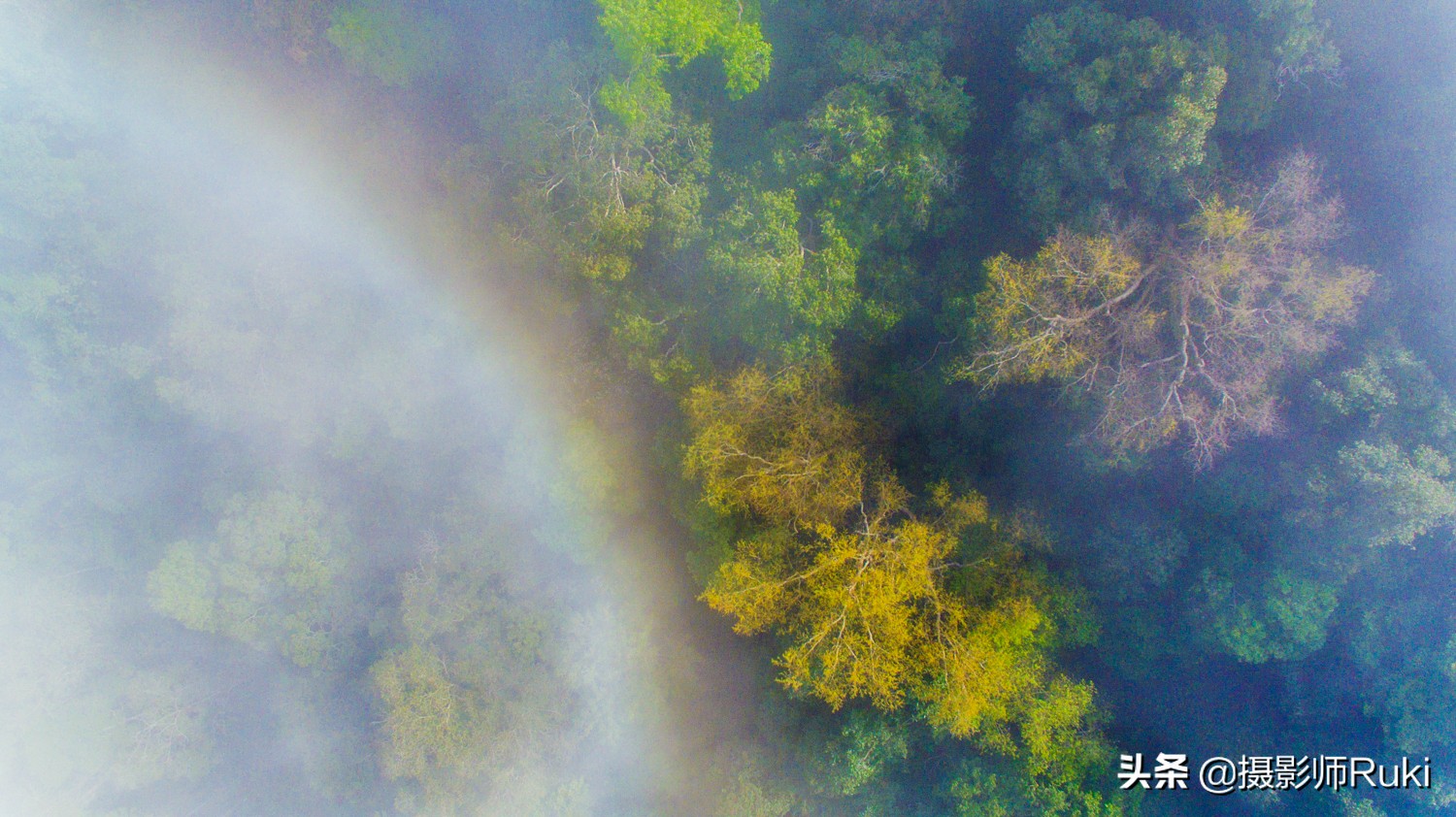 关于摄影的工作有哪些,摄影是一个浪漫的职业