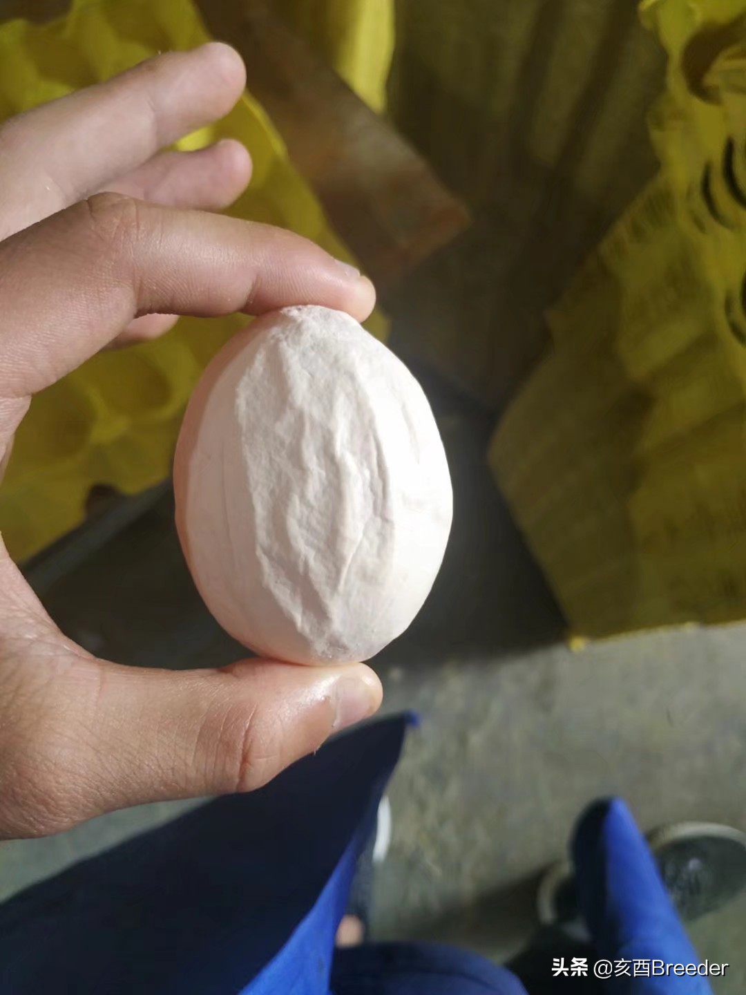 蛋鸡产蛋下降原因及补救措施,鸡产蛋综合症案例分析