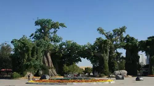 保定冬天适合带孩子去哪里玩,保定适合带孩子玩的免费的地方