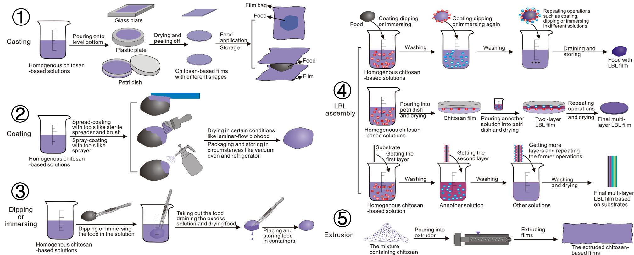 美食→生物材料|小龙虾→伤口敷料