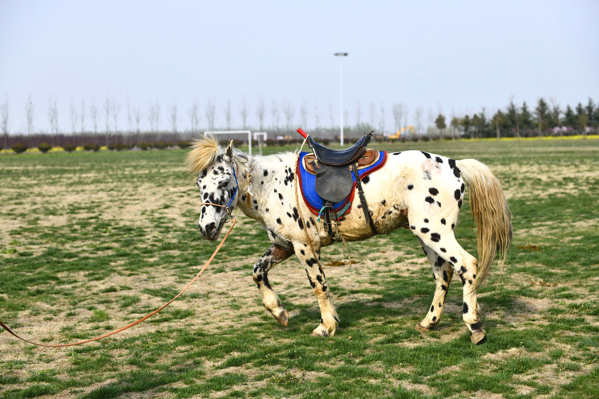 绁ュ拰搴勫洯浜屾湡,绁ュ拰搴勫洯鐏电挧