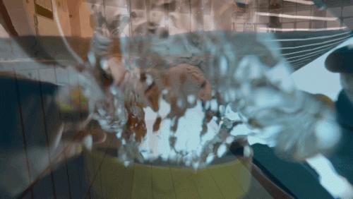 每个角落都是全人教育的闪光,常州威雅开启孩子人生更多可能性