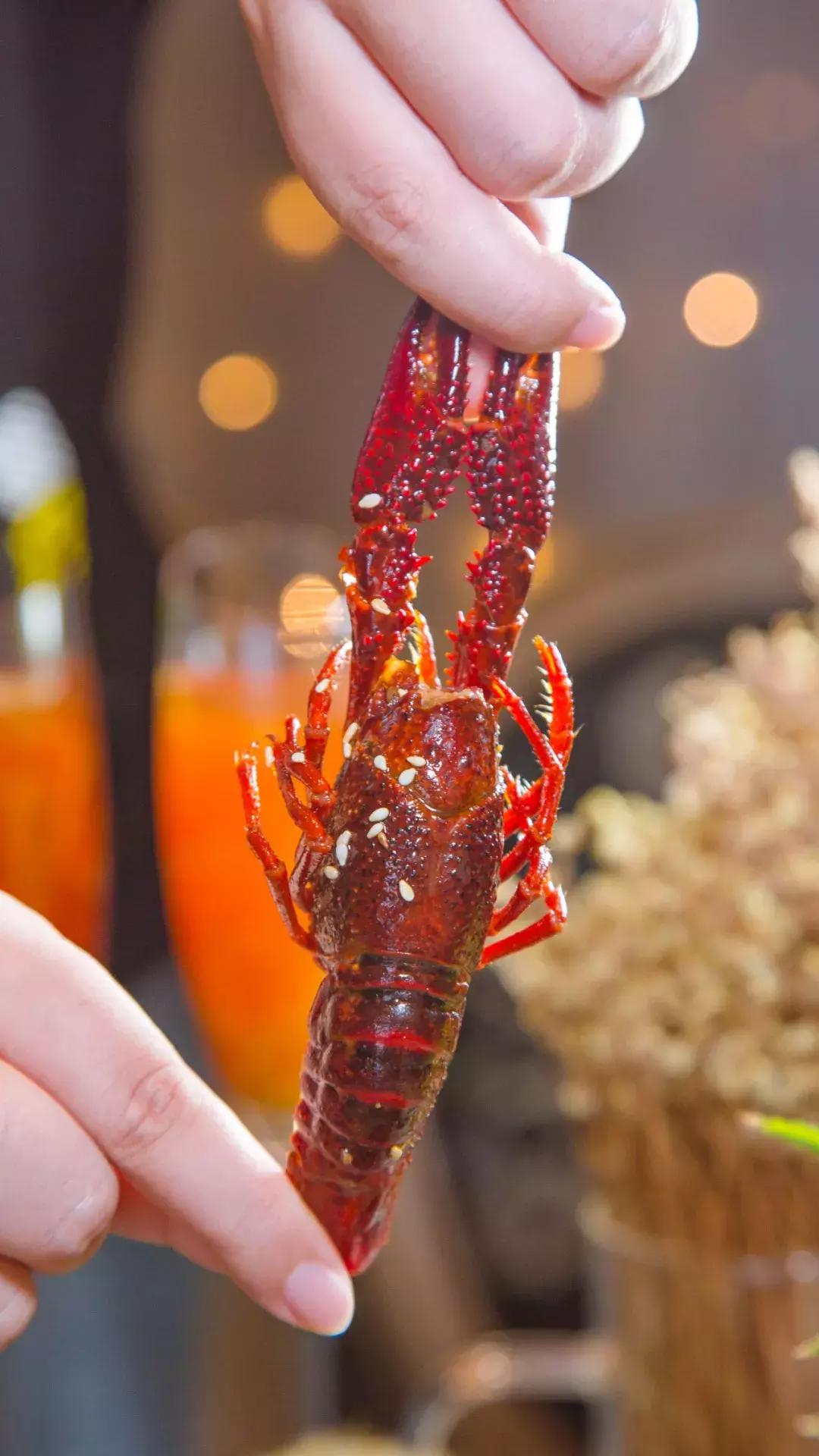 西餐界的“Chanel”！异国风味，带你见识超敢玩的食物实验所