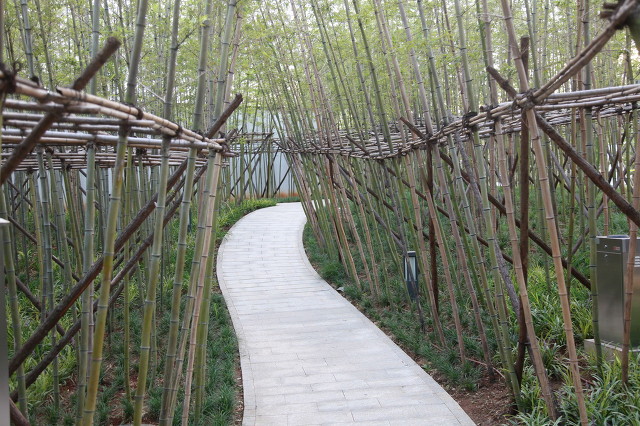 规划详细解析！谢岗为什么值得入手？