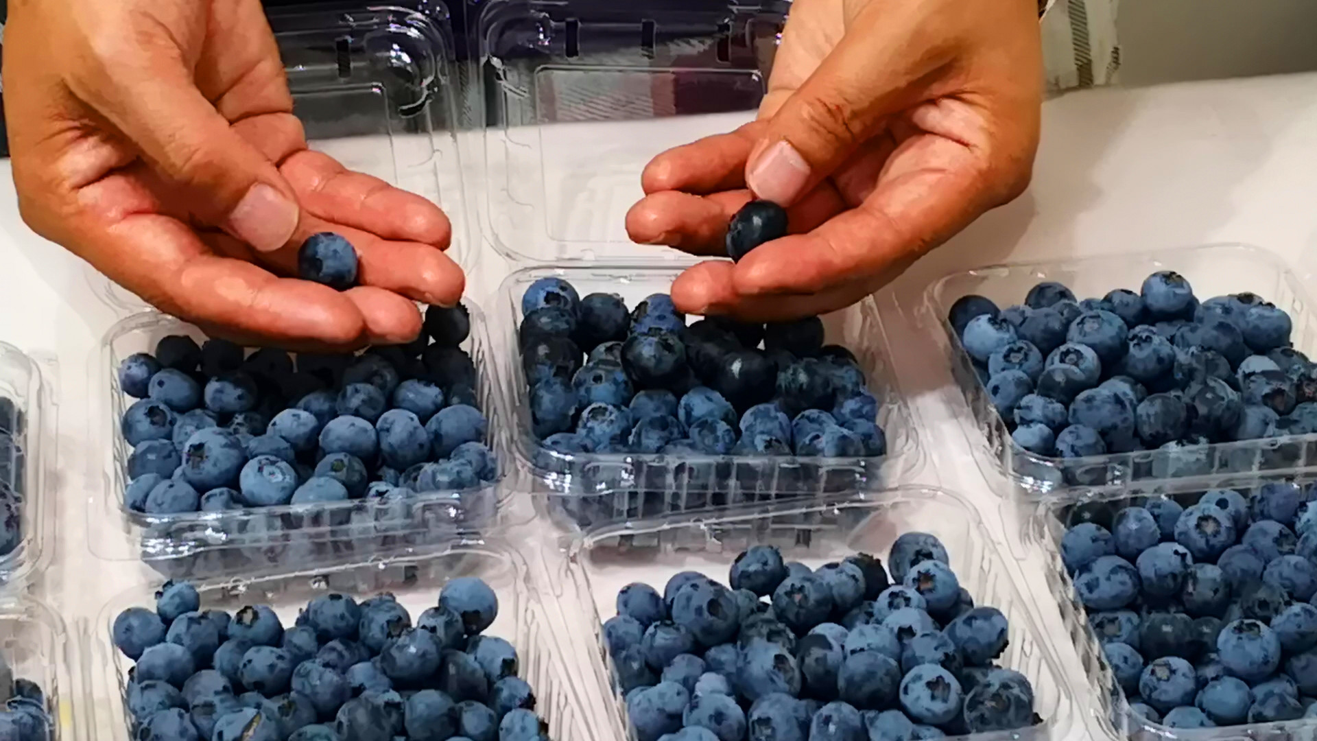 这3种果子夏天一定要多吃啊,夏天必备的10种果子