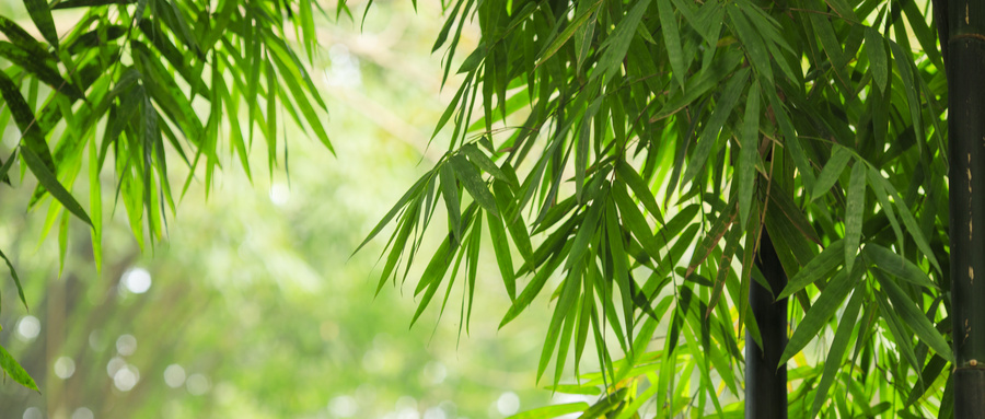 时评：念好干部“三字诀”