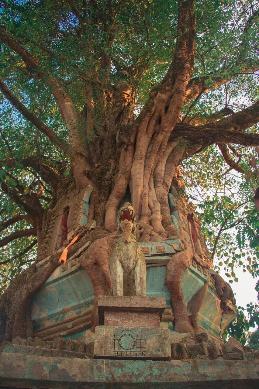 云南中越边境小城,云南新兴网红城市