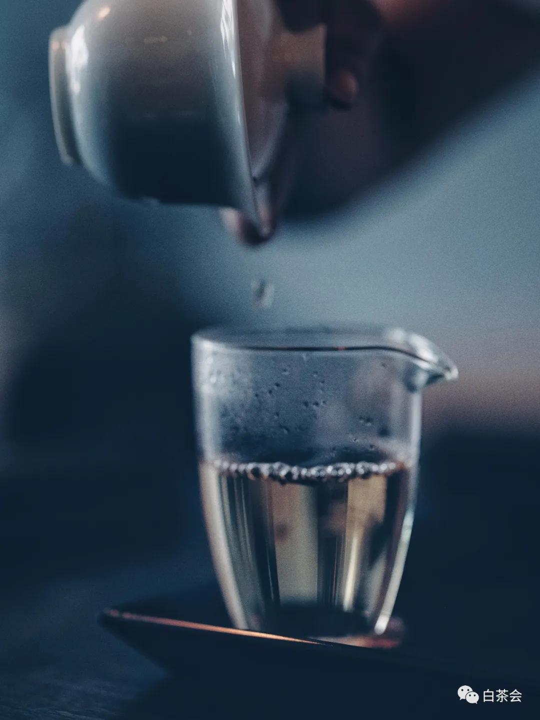 春节在家闷泡老白茶,夏天喝白茶的十大好处