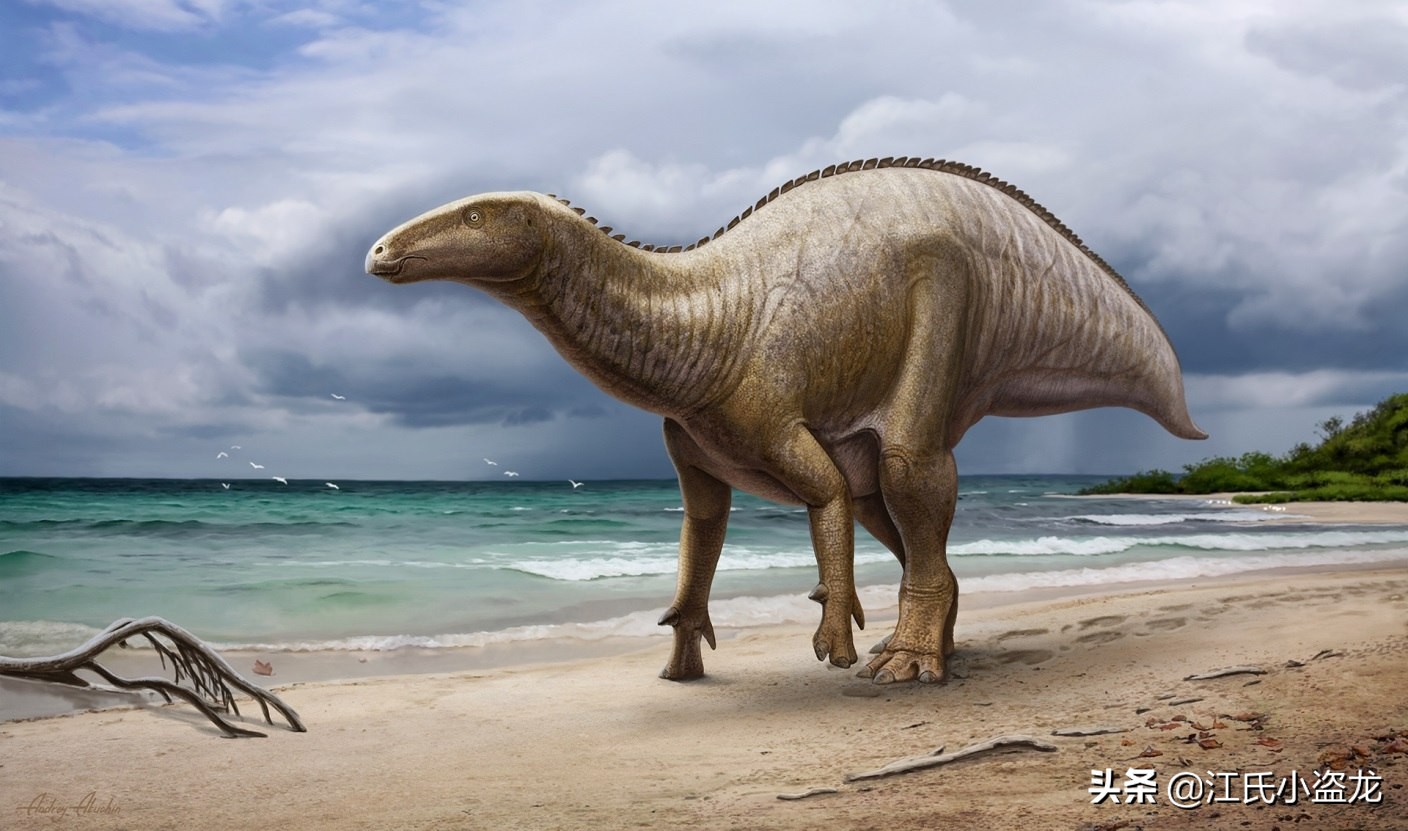 古生物时代有多少种恐龙,人类已经发现了多少恐龙种类