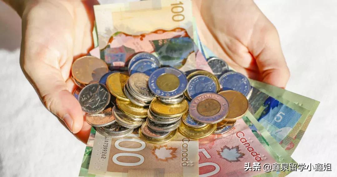 加拿大各地打工人年收入大比拼！这几类移民赚的比本地人还多