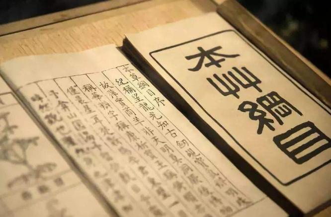 人类为啥不吃猫,人类为啥不吃肉食动物