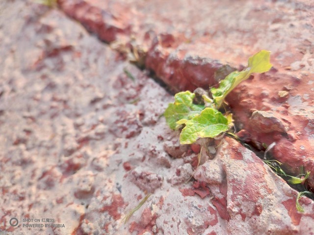 液冷散热对游戏有什么帮助,玩游戏散热器会有冷凝水吗