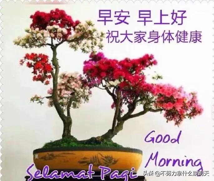 清晨特漂亮早上好祝福语动态图片,最美的早晨祝福语图片大全