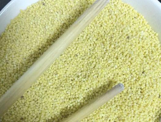 小米起虫如何处理,小米里长小黑虫怎么办