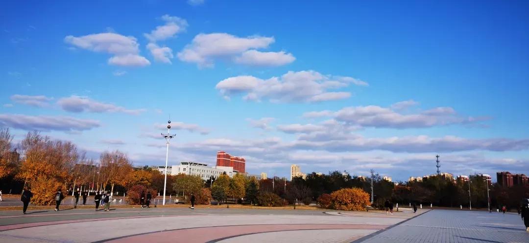 沈阳化工大学辽宁省排名,沈阳化工大学2020招生计划辽宁省