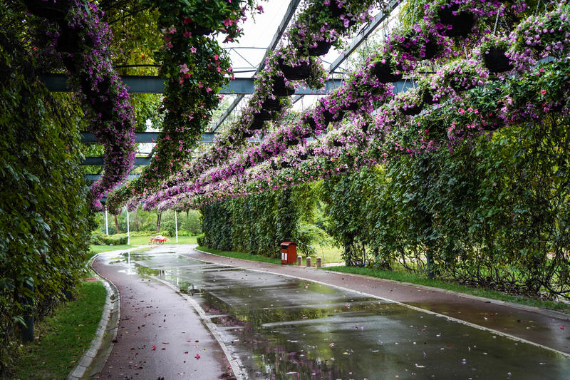 山东周边游2天1夜小众,5.1山东五日游