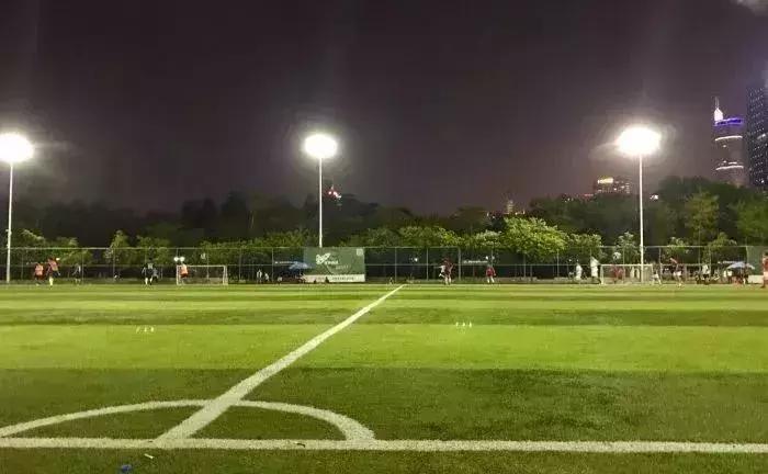 福田花卉世界最新消息,福田花卉世界改造