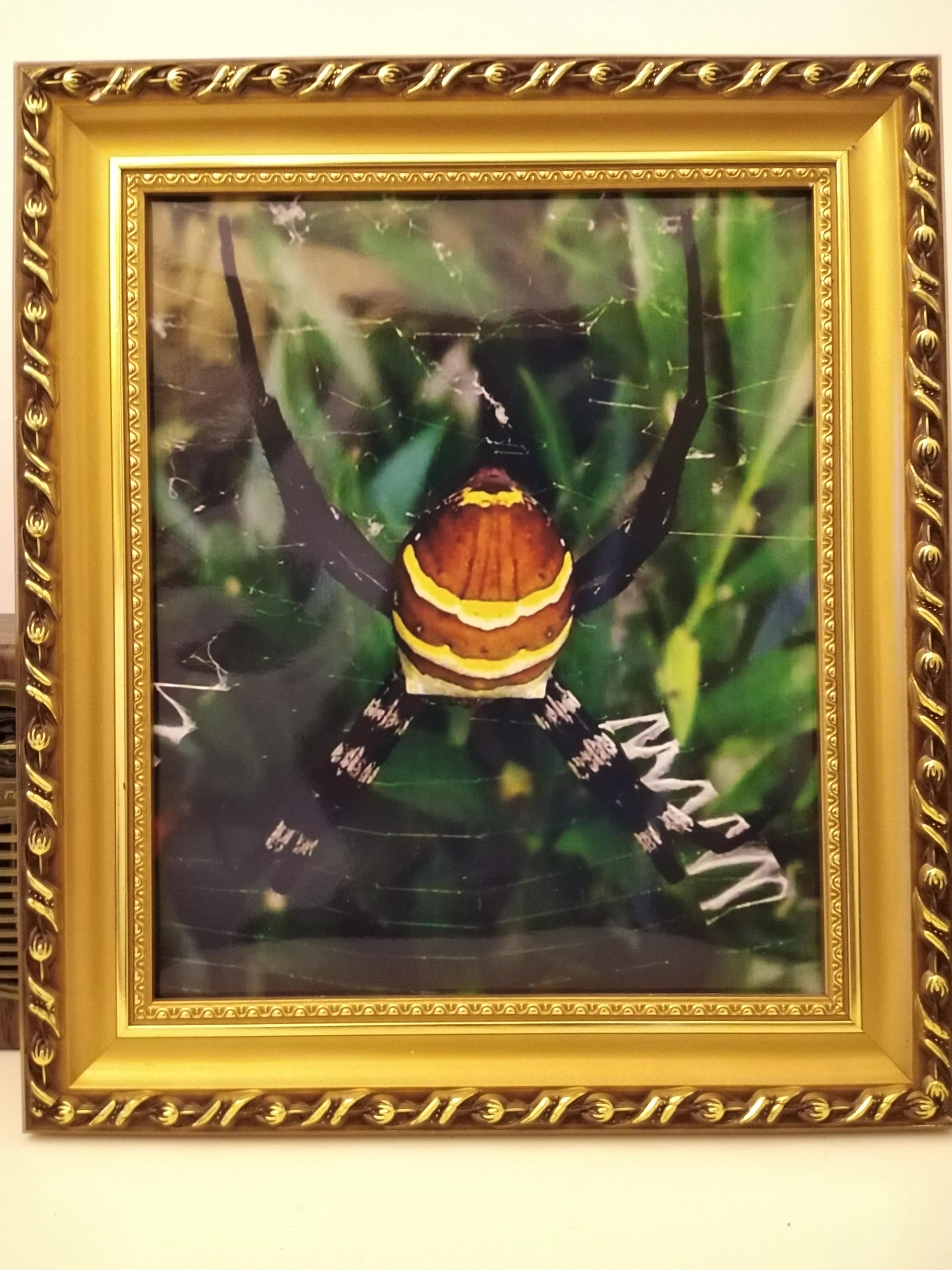 发现大自然的美的作文500字,发现大自然的美一篇作文