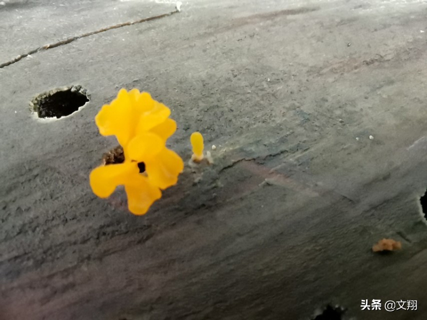 常见心理问题识别与应对,如何知道自己是否有心理健康问题