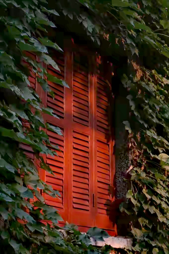 “为什么要养娃？”31岁职场上升期，我辞掉高薪工作做了全职妈妈