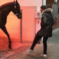 托马斯穆勒跑位世界级,托马斯穆勒算球星吗