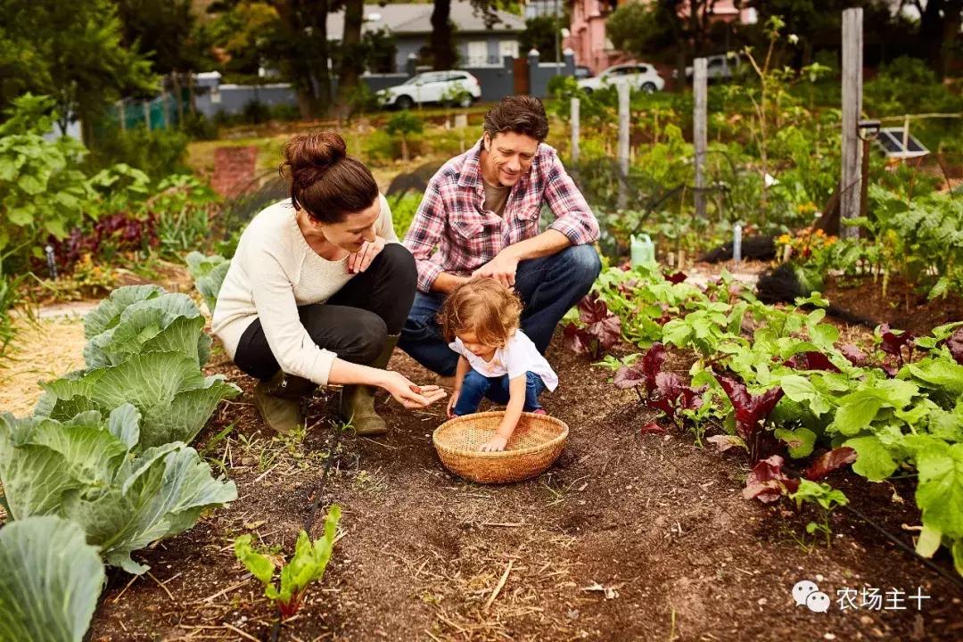 从零开始打造一个优质亲子农庄,从亏损近2亿到盈利35亿的逆袭