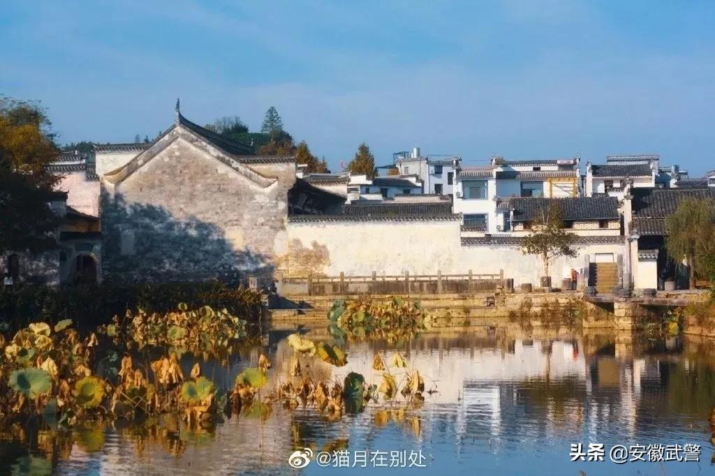 江淮第一时间2020,江淮卫视播报2018