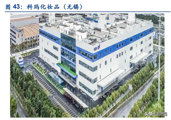 化妆品行业的现状和发展趋势图表,中国化妆品行业现状及发展趋势