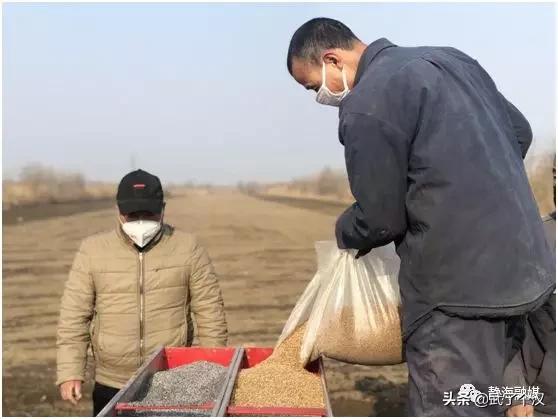 静海在天津的地位,天津静海的发展