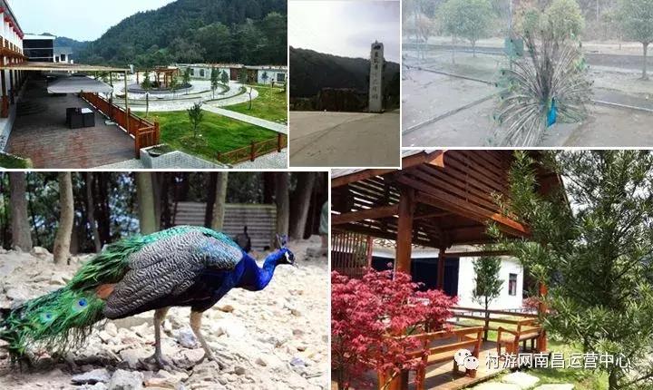 南昌现代庄园别墅,滨江庄园南昌