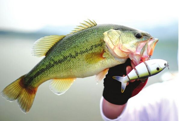 新手必经之路完整版,新手入门必看